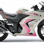 Kawasaki Ninja 250R para mulheres